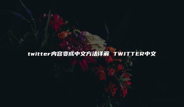 twitter内容变成中文方法详解 TWITTER中文