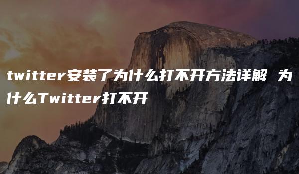 twitter安装了为什么打不开方法详解 为什么Twitter打不开