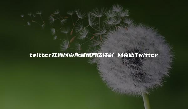 twitter在线网页版登录方法详解 网页版Twitter