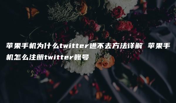 苹果手机为什么twitter进不去方法详解 苹果手机怎么注册twitter账号