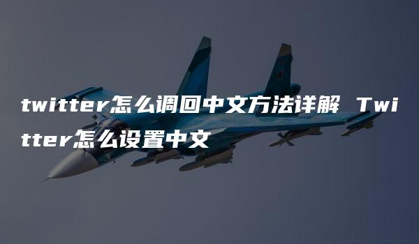 twitter怎么调回中文方法详解 Twitter怎么设置中文