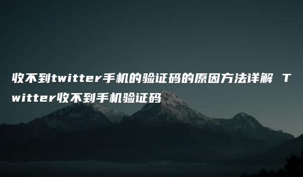 收不到twitter手机的验证码的原因方法详解 Twitter收不到手机验证码