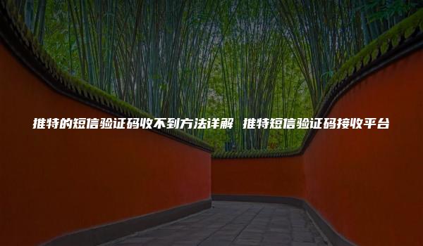 推特的短信验证码收不到方法详解 推特短信验证码接收平台