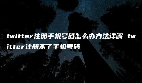 twitter注册手机号码怎么办方法详解 twitter注册不了手机号码