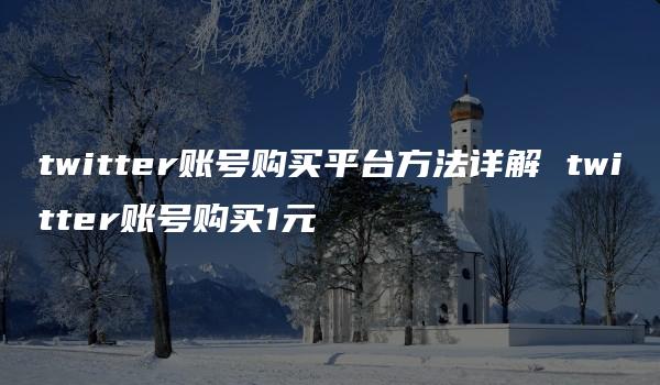 twitter账号购买平台方法详解 twitter账号购买1元