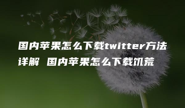 国内苹果怎么下载twitter方法详解 国内苹果怎么下载饥荒