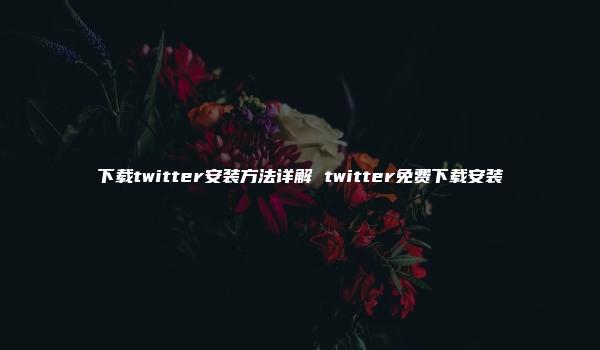 下载twitter安装方法详解 twitter免费下载安装