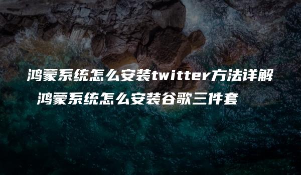 鸿蒙系统怎么安装twitter方法详解 鸿蒙系统怎么安装谷歌三件套