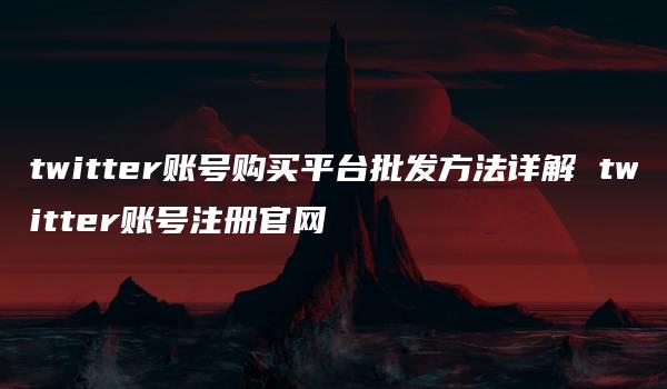 twitter账号购买平台批发方法详解 twitter账号注册官网