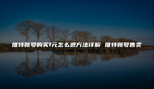 推特账号购买1元怎么退方法详解 推特账号售卖