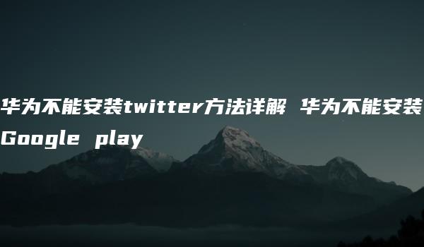 华为不能安装twitter方法详解 华为不能安装Google play