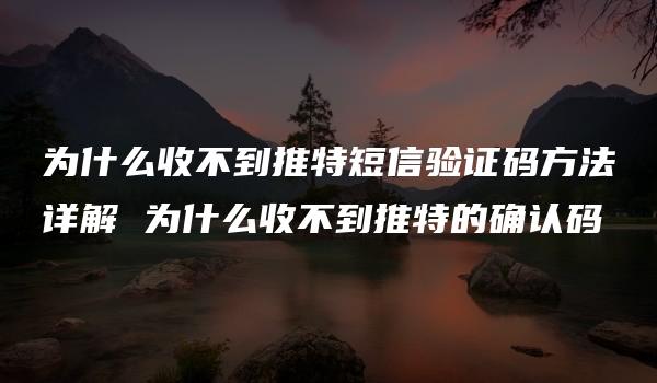 为什么收不到推特短信验证码方法详解 为什么收不到推特的确认码