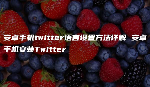 安卓手机twitter语言设置方法详解 安卓手机安装Twitter