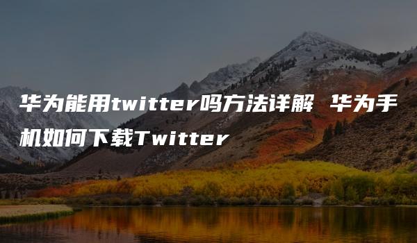 华为能用twitter吗方法详解 华为手机如何下载Twitter