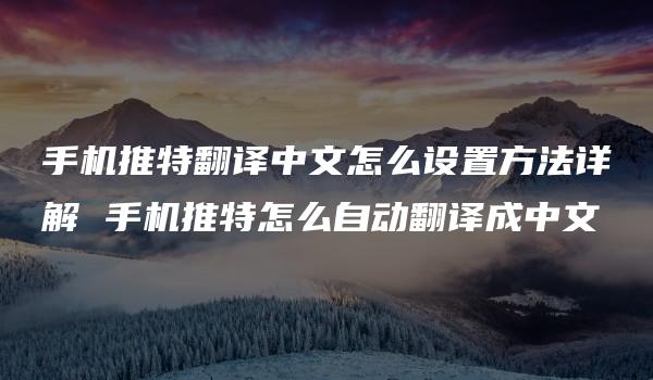 手机推特翻译中文怎么设置方法详解 手机推特怎么自动翻译成中文