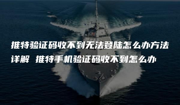 推特验证码收不到无法登陆怎么办方法详解 推特手机验证码收不到怎么办