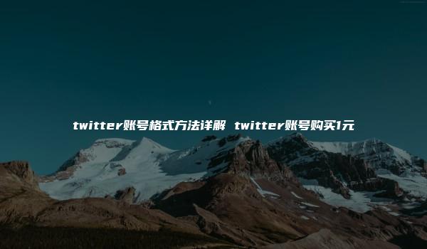 twitter账号格式方法详解 twitter账号购买1元