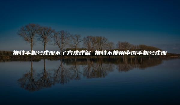 推特手机号注册不了方法详解 推特不能用中国手机号注册