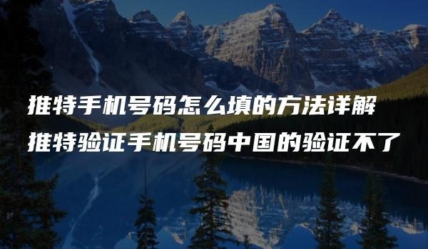 推特手机号码怎么填的方法详解 推特验证手机号码中国的验证不了