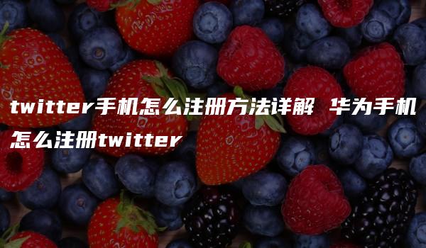 twitter手机怎么注册方法详解 华为手机怎么注册twitter