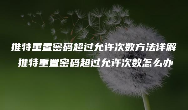 推特重置密码超过允许次数方法详解 推特重置密码超过允许次数怎么办