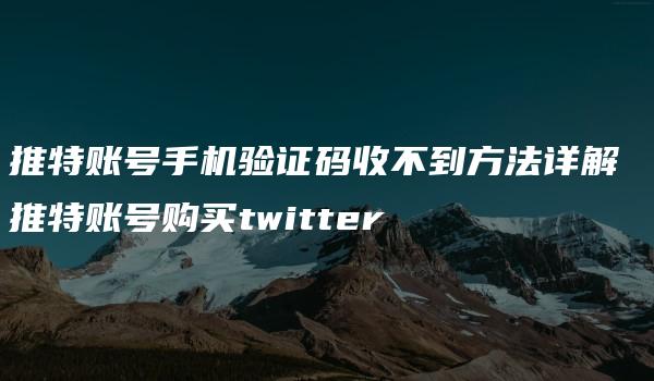 推特账号手机验证码收不到方法详解 推特账号购买twitter