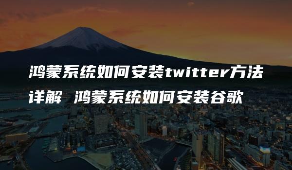 鸿蒙系统如何安装twitter方法详解 鸿蒙系统如何安装谷歌