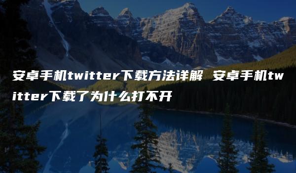 安卓手机twitter下载方法详解 安卓手机twitter下载了为什么打不开