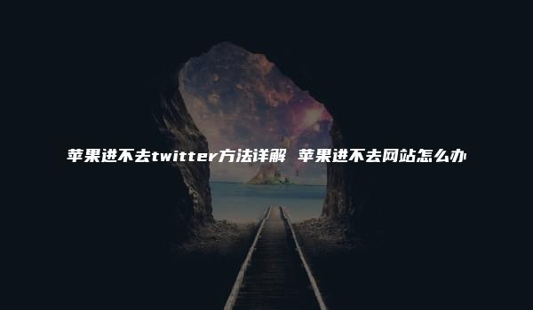 苹果进不去twitter方法详解 苹果进不去网站怎么办