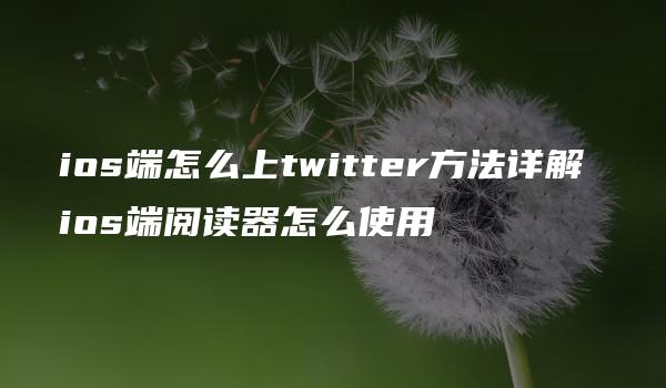 ios端怎么上twitter方法详解 ios端阅读器怎么使用