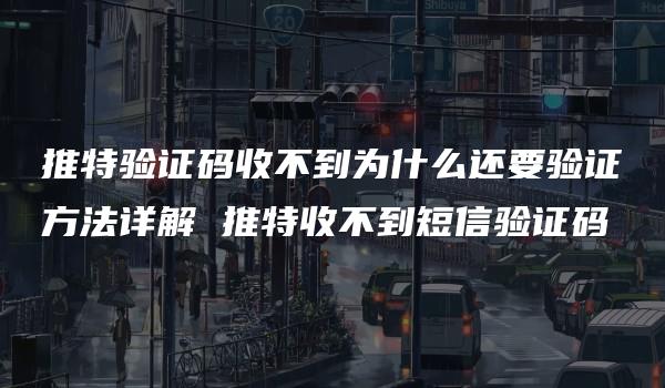 推特验证码收不到为什么还要验证方法详解 推特收不到短信验证码