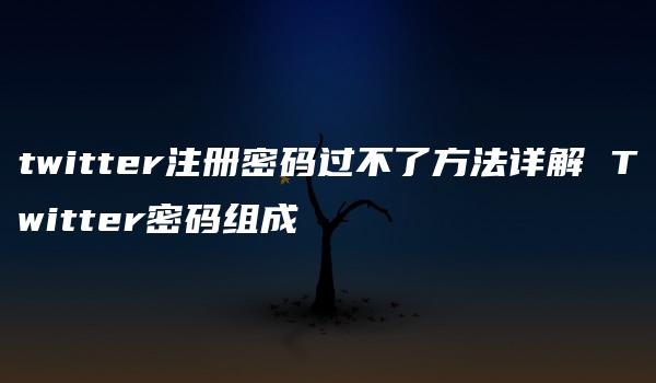 twitter注册密码过不了方法详解 Twitter密码组成