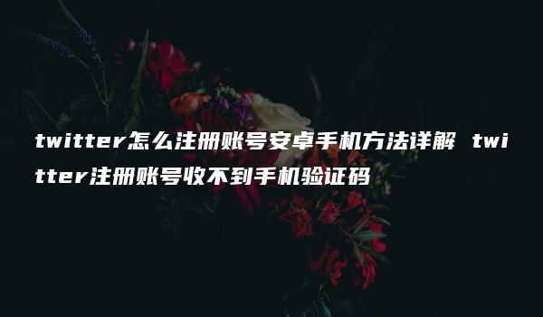 twitter怎么注册账号安卓手机方法详解 twitter注册账号收不到手机验证码