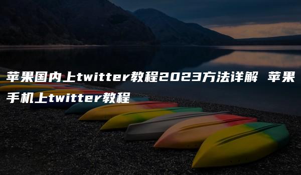 苹果国内上twitter教程2023方法详解 苹果手机上twitter教程