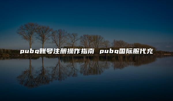 pubg账号注册操作指南 pubg国际服代充