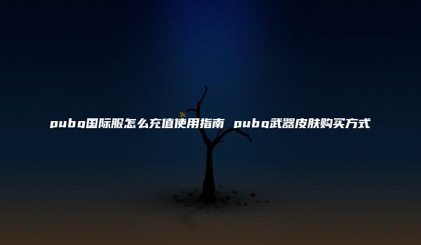 pubg国际服怎么充值使用指南 pubg武器皮肤购买方式