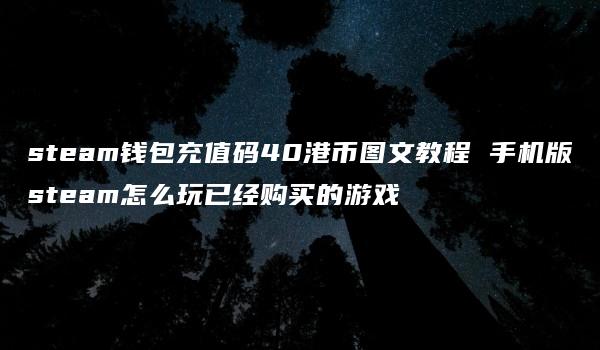 steam钱包充值码40港币图文教程 手机版steam怎么玩已经购买的游戏