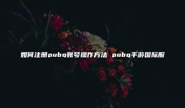 如何注册pubg账号操作方法 pubg手游国际服