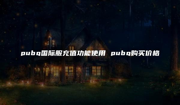 pubg国际服充值功能使用 pubg购买价格