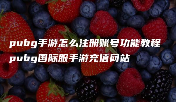 pubg手游怎么注册账号功能教程 pubg国际服手游充值网站