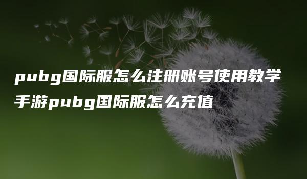 pubg国际服怎么注册账号使用教学 手游pubg国际服怎么充值