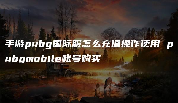 手游pubg国际服怎么充值操作使用 pubgmobile账号购买