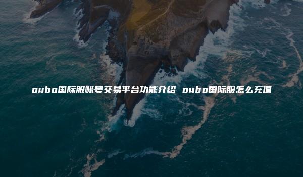 pubg国际服账号交易平台功能介绍 pubg国际服怎么充值