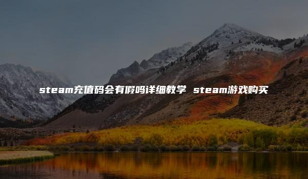 steam充值码会有假吗详细教学 steam游戏购买