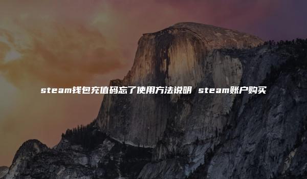 steam钱包充值码忘了使用方法说明 steam账户购买