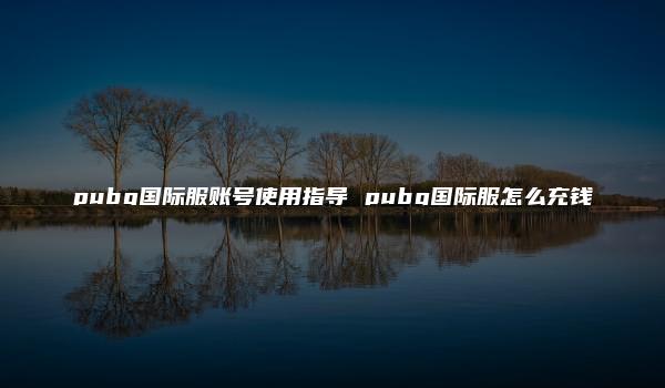 pubg国际服账号使用指导 pubg国际服怎么充钱