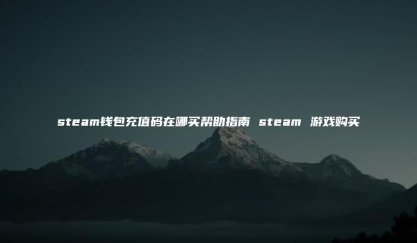 steam钱包充值码在哪买帮助指南 steam 游戏购买