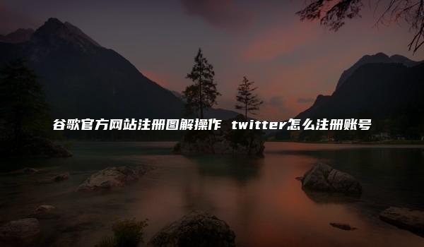 谷歌官方网站注册图解操作 twitter怎么注册账号