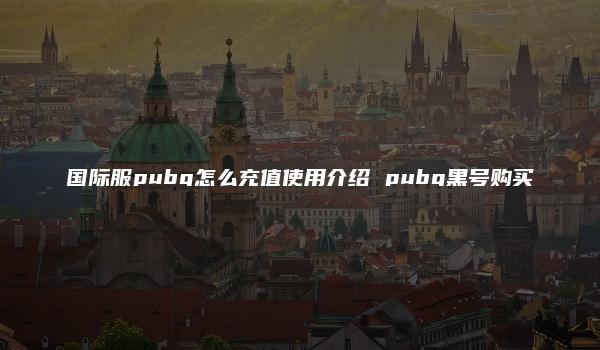 国际服pubg怎么充值使用介绍 pubg黑号购买