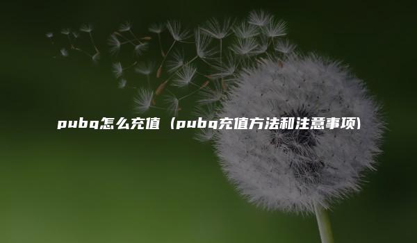 pubg怎么充值 (pubg充值方法和注意事项)